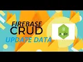 How to update data in firebase database using Node Js