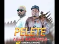 Download Lagu Alex Kamonga Ft General Kanene-Pelete(Official Music Audio)