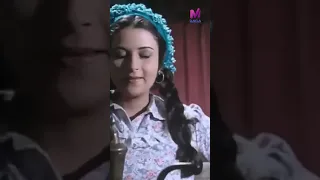 ميروك يا عريس الغفلة Shorts Shortsfeed Shortvideo Shortsyoutube 