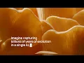 Introducing ProGen3