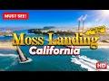 Moss Landing is a HOTSPOT in Monterey County California Jetty Fishing Discovering Hidden Histories