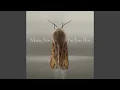 Download Lagu Things