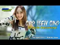 Download Lagu DJ OPO ISEH ONO TERBARU 2022 LAGU FULL BASS VIRAL TIKTOK ( STYLE BANYUWANGI ) KEN MUSIC PRO