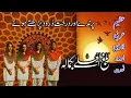 Lagu Great Arabic Persian Urdu Naat Balaghal Ula Be Kamalehi | Deerooz Dar | Sheikh Saadi | Naat \u0026 Darood