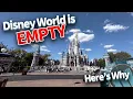 Disney World is Empty This Summer -