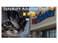 PetsMart Adoption Day VLOG