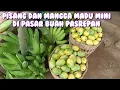 Download Lagu LIHAT MANGGA MADU MINI YANG ADA DI PASAR BUAH PASREPAN LAPAK PAK KHOLIK 