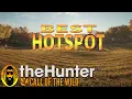 Best HOTSPOT Golden Tree Stand Hirschfelden in thehunter Call of the Wild Fast Money and Experience