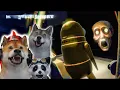 THE HILARIOUS TRIO BECOMES SCAVENGERS IN A CREEPY PLACE - R E P O