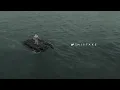NF - MISTAKE (Audio)