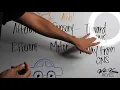 MBLEx Review Nervous System How to Remember Afferent Vs Efferent Neurons