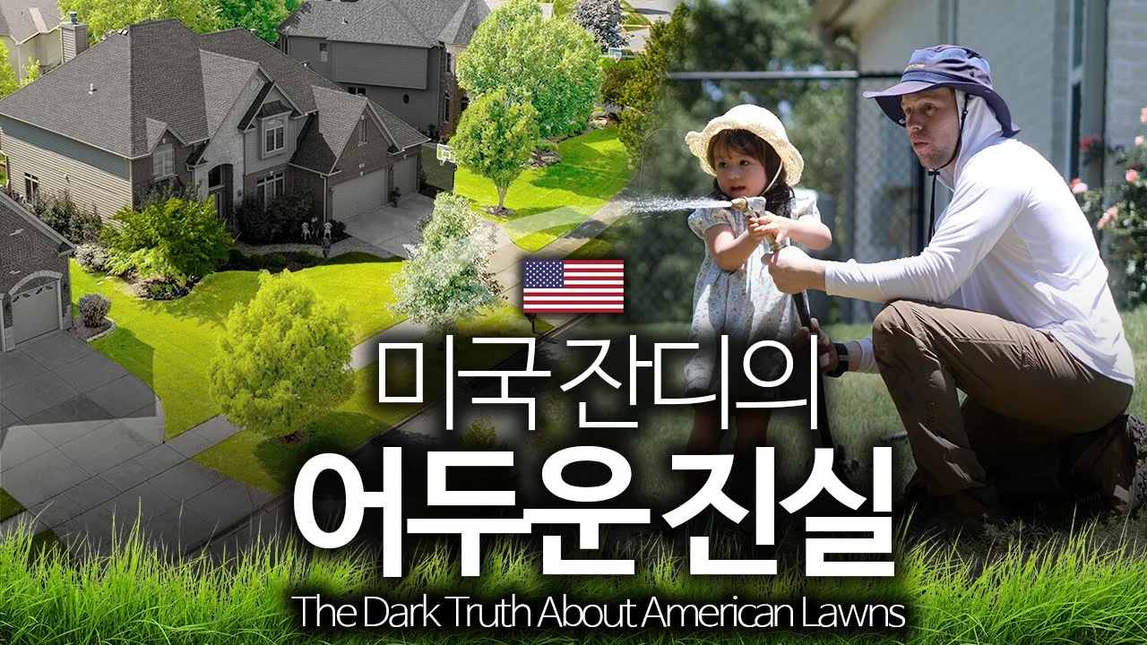 미국은 왜 집집마다 ‘무조건’ 꼭 잔디가 깔려있을까?