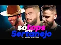 Download Lagu SERTANEJO - AS Mais TOCADAS Sertanejo 2025: Os Maiores Sucessos do Sertanejo Universitário 2025