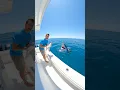 Download Lagu He Fed this Shark a Chicken! 🐓 😳🦈 #shark