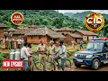 Lagu गांव में छुपे मुजरिम पर नजर रखने के लिए CID टीम ने किया Police बनके | CID |Crime Story | New Episode