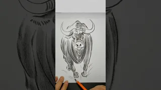 Buffalo drawing
