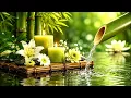 Healing Relaxation Music Bamboo Fountain Sounds for Deep Sleep Meditation and Spa Ambience