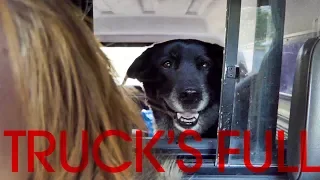 Not Enough Room in the Truck for Everyone – Sink or Swim 50