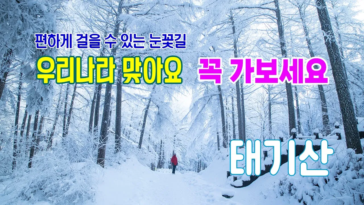 관련 영상 썸네일