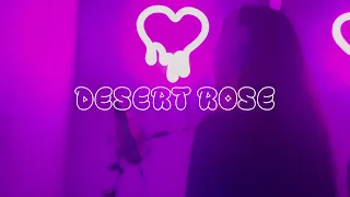 desert rose lolo zoua vanna rainelle cover 