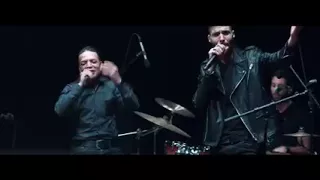                                        كايروكي مع النجم طارق الشيخ   الكيف دندنها