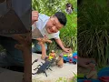 Download Lagu बिच्छु को मारा 🤯~wood warking art/ hand craft idea home #shorts #dog #viral #scorpion