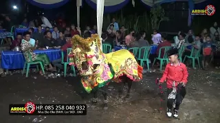 Download Adin  Putra Penerus Cak Adi Bina Budaya Penakluk Kuda Berdiri .New BB Live P.Pangat Babakan Ngaglik MP3