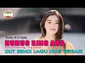 Dut Remix Lagu Nias Huhuo Sino Aro || Dut Remix Terbaru (DJ ALLWIN)