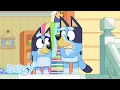 Lagu Season 3 Full Episodes | Bluey