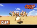Oscar's Oasis - Day of the Chicken | HQ | Funny Cartoons |