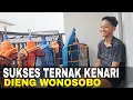 Download Lagu CUACA EXTREAM TETEP JALAN‼️ SPESIALIS  NGAWET DAN BONGKOK.