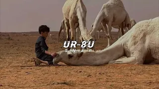 السلامه دوروها   السطر في روسنا والزين في روس البهايم   بطيئ   مميز     الجفراني دندنها