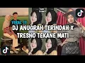 Download Lagu DJ ANUGRAH TERINDAH X TRESNO TEKANE MATI VIRAL TIK TOK TERBARU