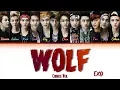 EXO (엑소) - 'Wolf (狼与美女)(Chinese Ver.)' Lyrics (Color Coded_Chin_Pin_Eng)