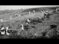Ой на горі та й женці жнуть