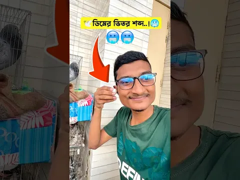 ডিমের ভিতর কিসের শব্দ হচ্ছে? 🕊️🤔 #kabutar #কবুতর #birds #funny #comedy #viralvideo #shorts #trend