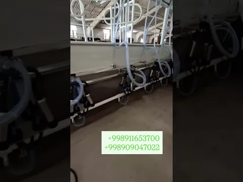 15 июля 2026 г.