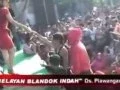 Download Lagu Cidro ~ Lilin Herlina New pallapa