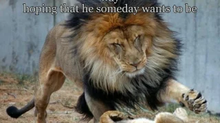 my old man zac brown band special video with lyrics hd hq