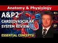 50 Cardiovascular A P2 MCQs That ll Expose What You DON T Know