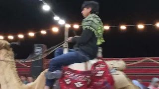 يا بنت غطي شيلي راس اروع اهجيني لبديع تيسير ابو سويرح و هاني ابو كريشان      افراح قبيلة بني عامر دندنها