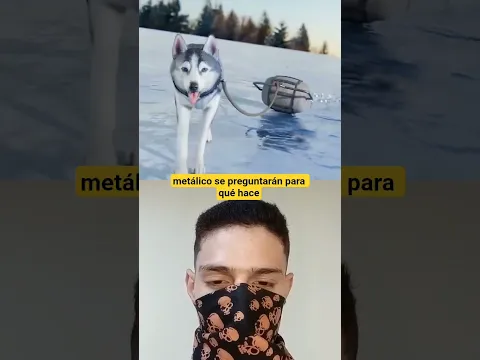 Por qué el perro arrastra la piedra? 🐶😨 #shorts #parati #foryou #viral #short