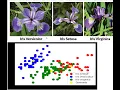 Unsupervised machine learning on Iris dataset in Python Easy