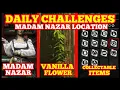 VANILLA FLOWERS Madam Nazar Location Some Collectable Items Red Dead Online