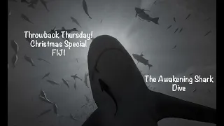 Diving with Bull Sharks in FIJI! (Ep 12)