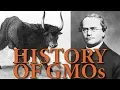 Lagu THE RISE OF GMOs IN 2019 | HISTORY | NATURE NEWS