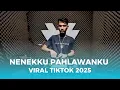 Lagu DJ INDO NENEKKU PAHLAWANKU VIRAL TIKTOK