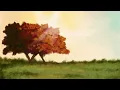 The Secret Life of Daydreams (Arr. Assad for Guitar) (From “Pride & Prejudice” / Visualizer)