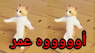  اغنية باسم  عمر الزين  اغنية عمر السعودية الكويت تركيا العراق لبحرين قطر الجزائر دبي جده الرياض جدة دندنها