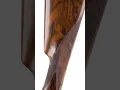 Download Lagu The Perazzi SCO Extra Sideplate 20 Gauge \